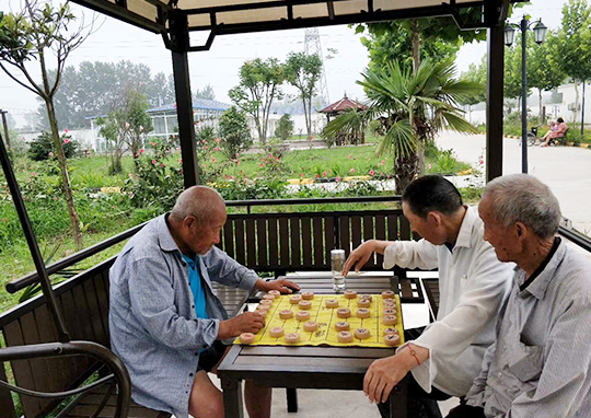 象棋娛樂(lè)活動(dòng)